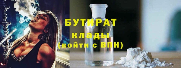 шишки Новозыбков