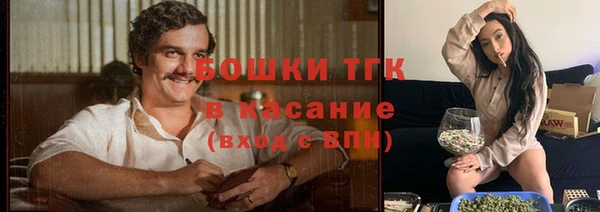 шишки Новозыбков