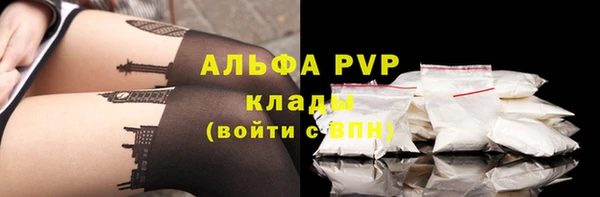 шишки Новозыбков