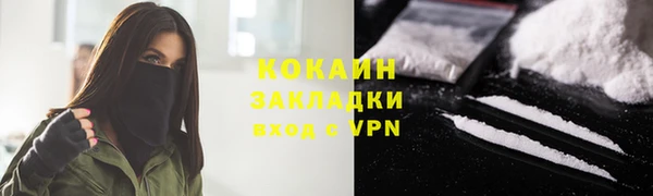 шишки Новозыбков