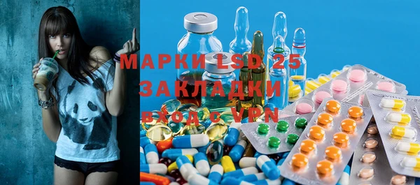 шишки Новозыбков