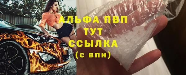 шишки Новозыбков