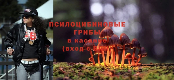 винт Нефтегорск