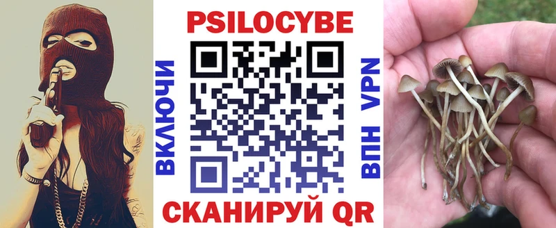 Галлюциногенные грибы Psilocybe  МЕГА как зайти  Орлов 